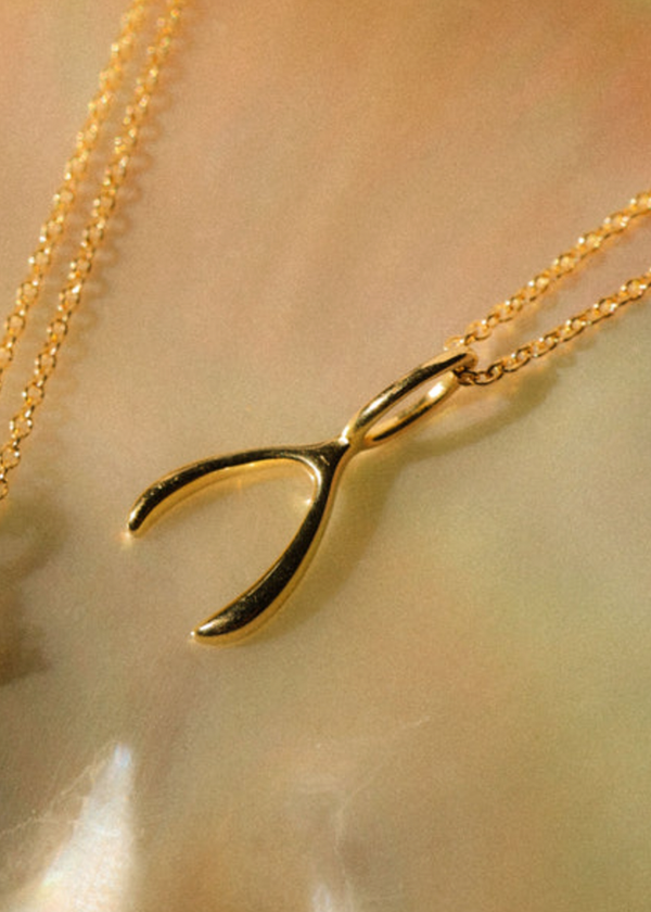 Leah Alexandra Wishbone Necklace | Gold