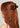 Medium Puffy Claw Clip | Black and Tort