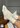 Wally Socks
