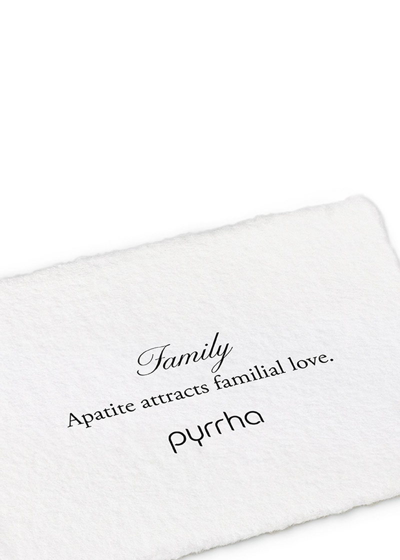 Family Signature Attraction Charm