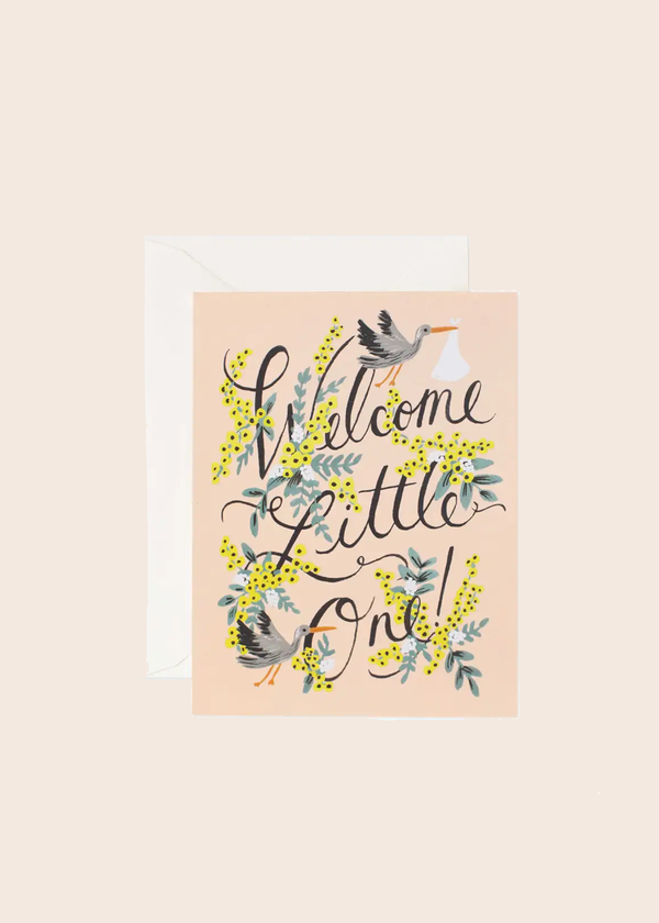 Welcome Little One Stork Card